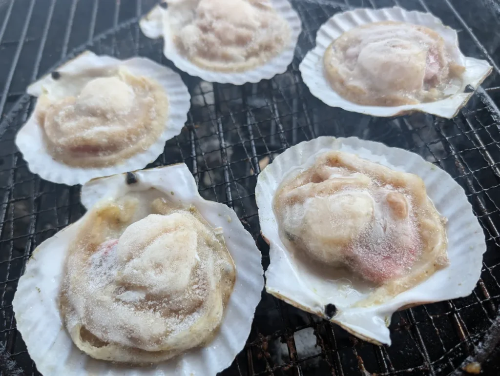 焼き網に並べた日海水産の片貝ホタテ